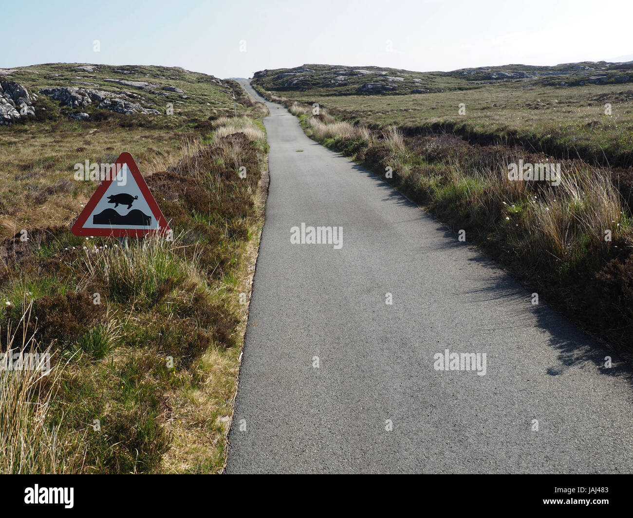 Flying Pig cartello stradale, Callum's road, Raasay, Scozia Foto Stock