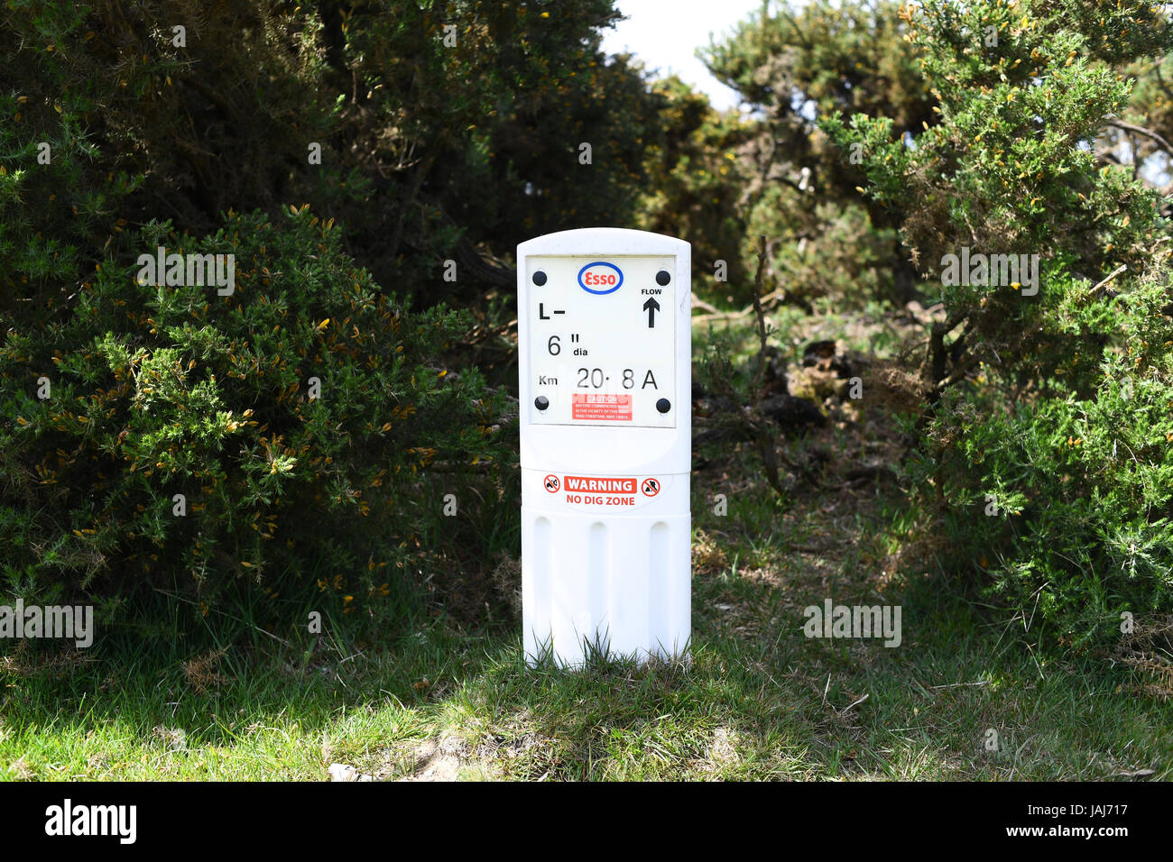 Esso tubo montante di avvertimento nella nuova foresta Foto Stock