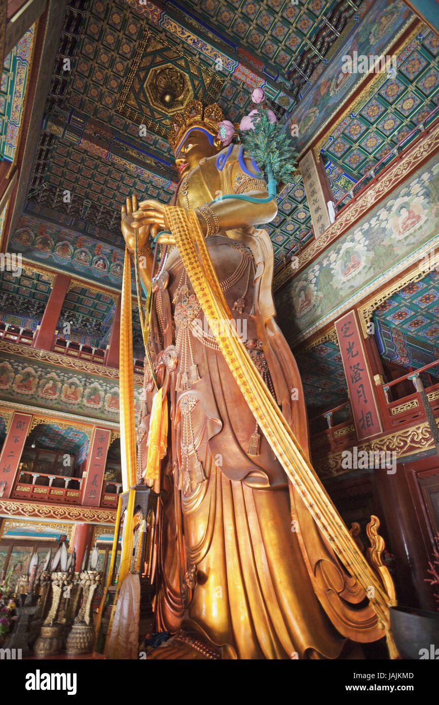Cina, Pechino,tibetanischer lama del tempio Yonghe gong,padiglione Wanfu,18-metro-alta statua di Buddha Maitreya, Foto Stock