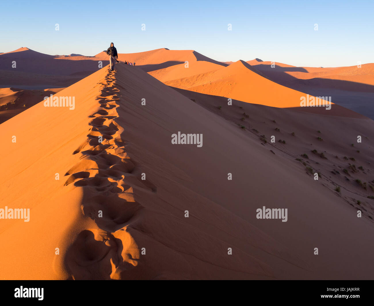 SOUSSUSVLEI, NAMIBIA - Giugno 20, 2016: guardare la gente sunrise formano le Dune 45 in Sossusvlei area del deserto del Namib in Namibia. Foto Stock