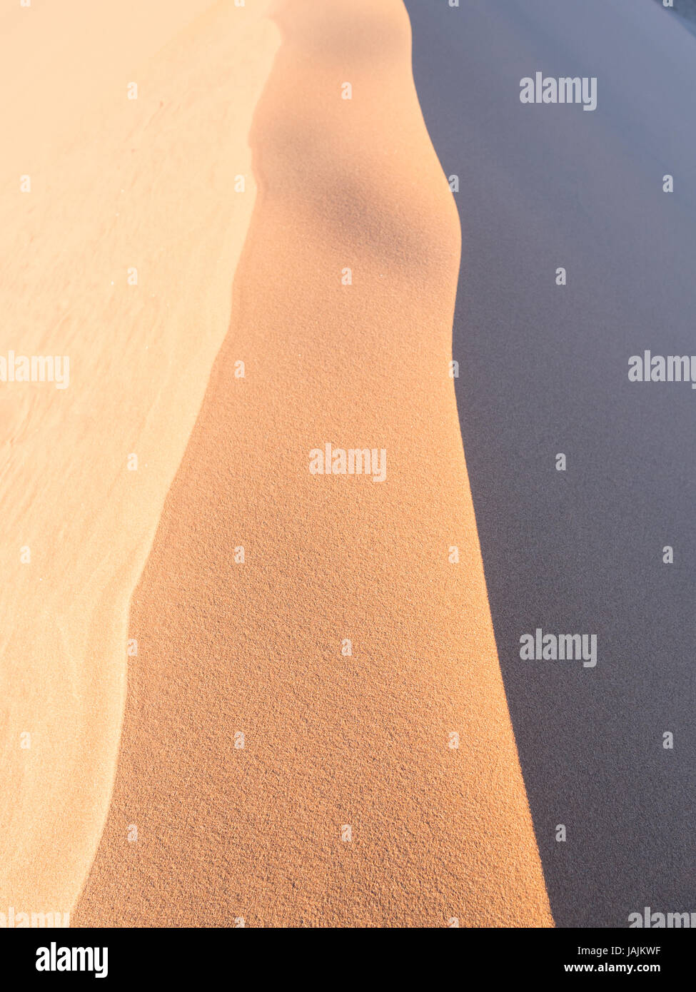 Modelli di sabbia sulle dune 45 nel deserto del Namib, Namib-Naukluft National Park, Namibia. Foto Stock