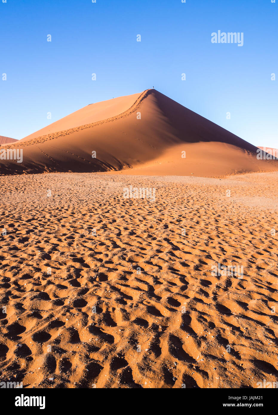 45 dune nel deserto del Namib, Namib-Naukluft National Park, Namibia. Foto Stock