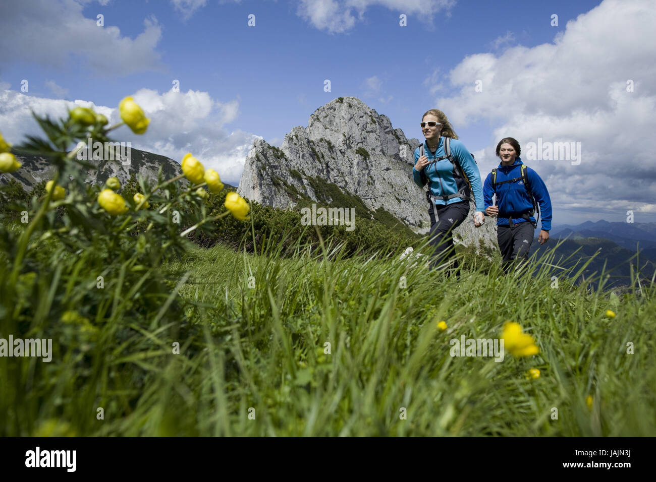 Wanderer,alpi bavaresi,Baviera,Germania, Foto Stock