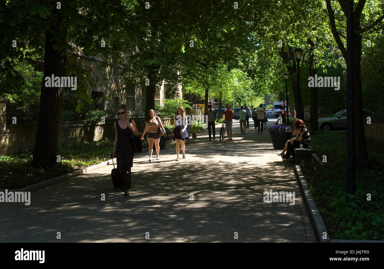 I motivi della Yale University, New Haven, CT Foto Stock