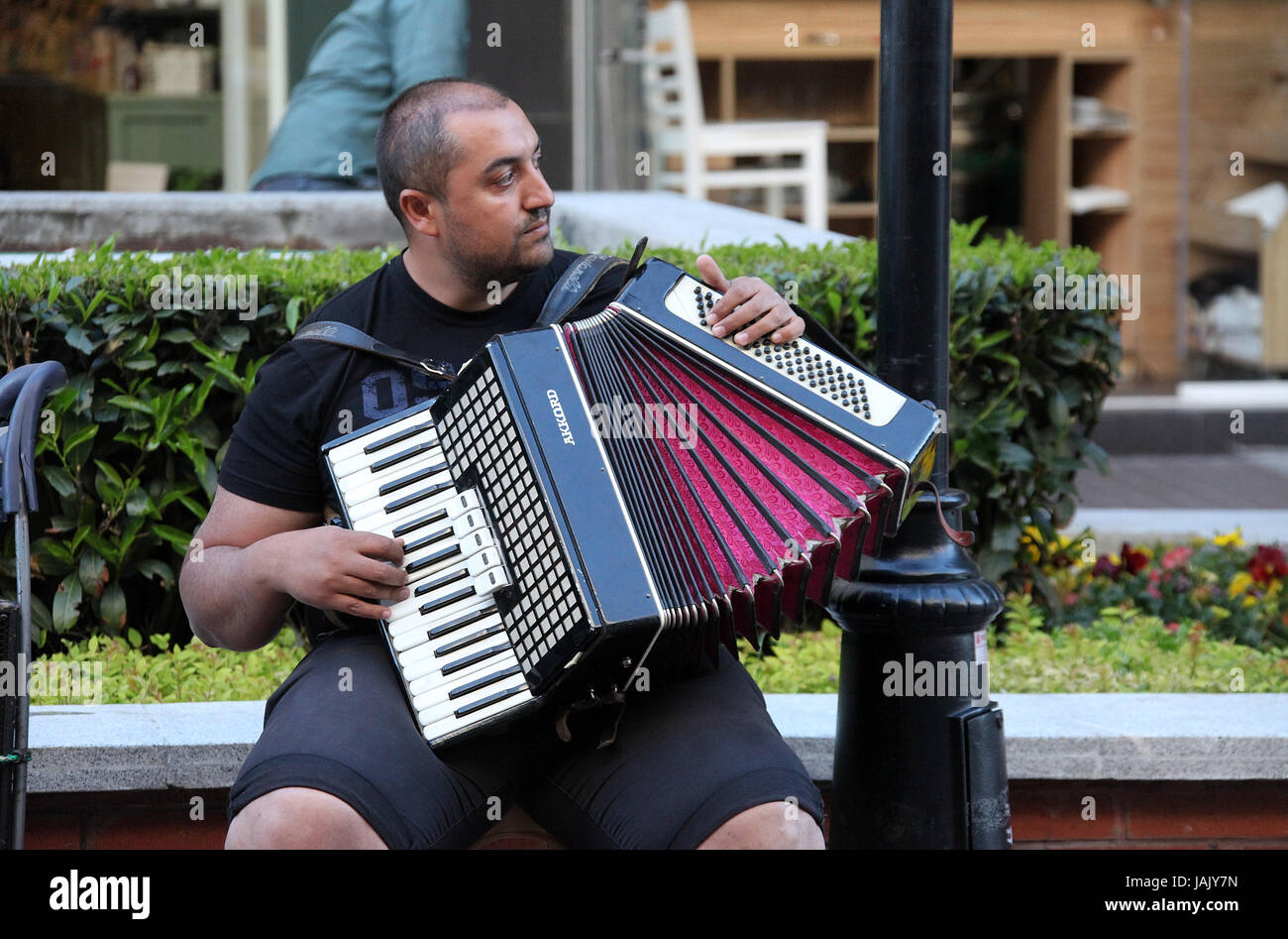 Lettore di fisarmonica per le strade di Sofia Foto Stock