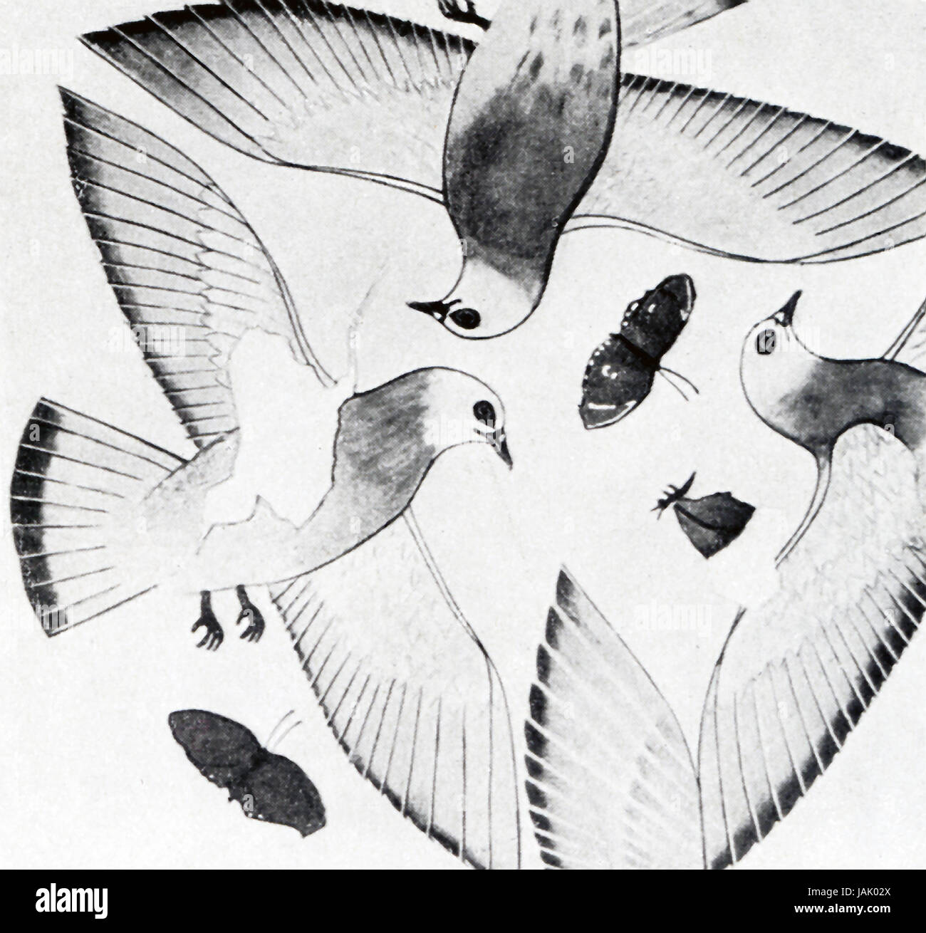 Questa scena è stato scoperto su un muro nel palazzo di Amenhotep III, noto come Palazzo Malkata, situato nei pressi di Deir el-Bahari (anche ortografato Bahri), il villaggio dei lavoratori sulle tombe nella Valle dei Re e dintorni. Solo frammenti dei dipinti di sopravvivere, ma questi uccelli acquatici erano originariamente mostrato volare al di sopra delle piante che crescono in una piscina. Amenhotep III era il nono faraone della XVIII dinastia (Nuovo Regno). Egli dominava da circa 1386 a 1350 A.C. Il suo padre era Thutmosi IV Suo figlio era Amenhotep IV, ma poi ha cambiato il suo nome in Akhenaton. Foto Stock