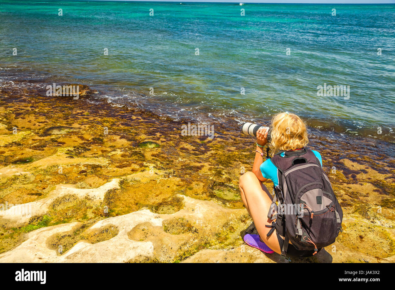 Viaggi fotografo prende il colpo di tartarughe marine verdi in spiaggia Laniakea noto anche come Turtle Beach. La natura della donna fotografo a scattare foto all'aperto. Foto Stock