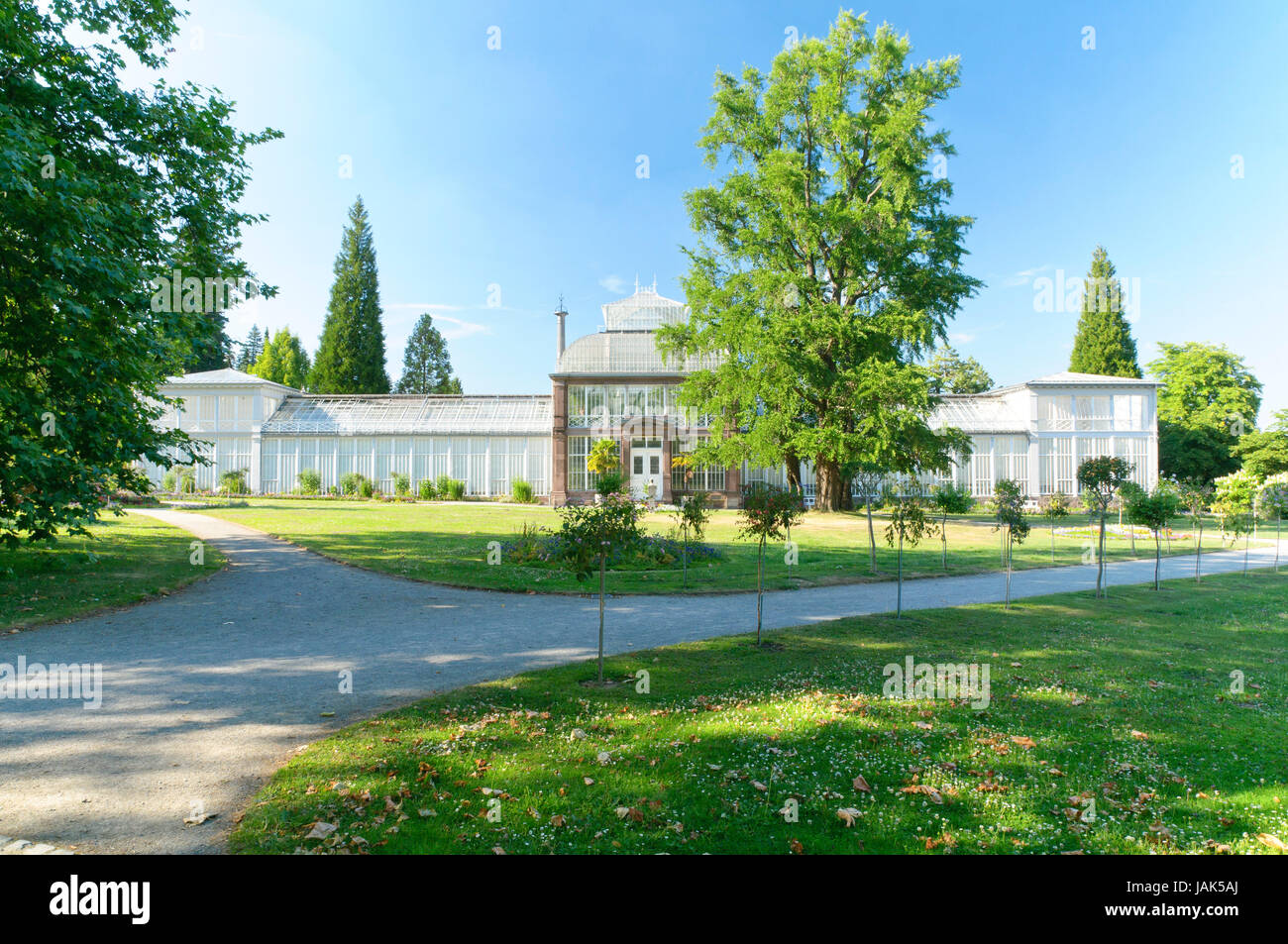 Das große Gewächshaus steht unmittelbar westlich des Ballhauses. Es ist eine der Ersten Stahl-Glas-Konstruktionen überhaupt und wurde 1822 nach Plänen von Bromeis errichtet. Guerra Bauherr Kurfürst Wilhelm II. 1887 wurde der ursprünglich runde Mittelbau durch ein kubisches Palmenhaus ersetzt. Heute kann es von Oktober bis Mai besichtigt werden. Foto Stock