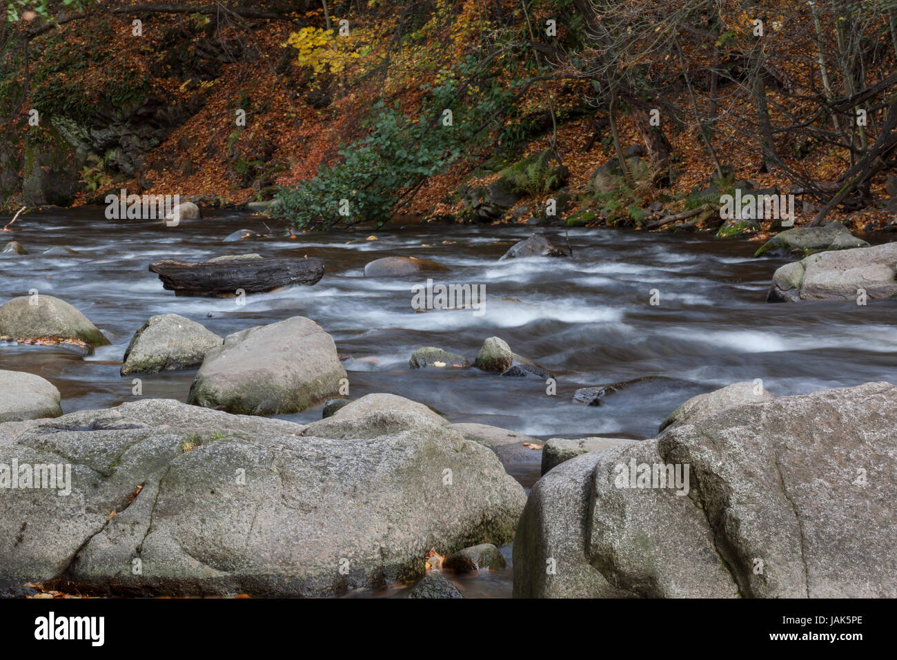 Bode, Bodetal bei Thale Foto Stock