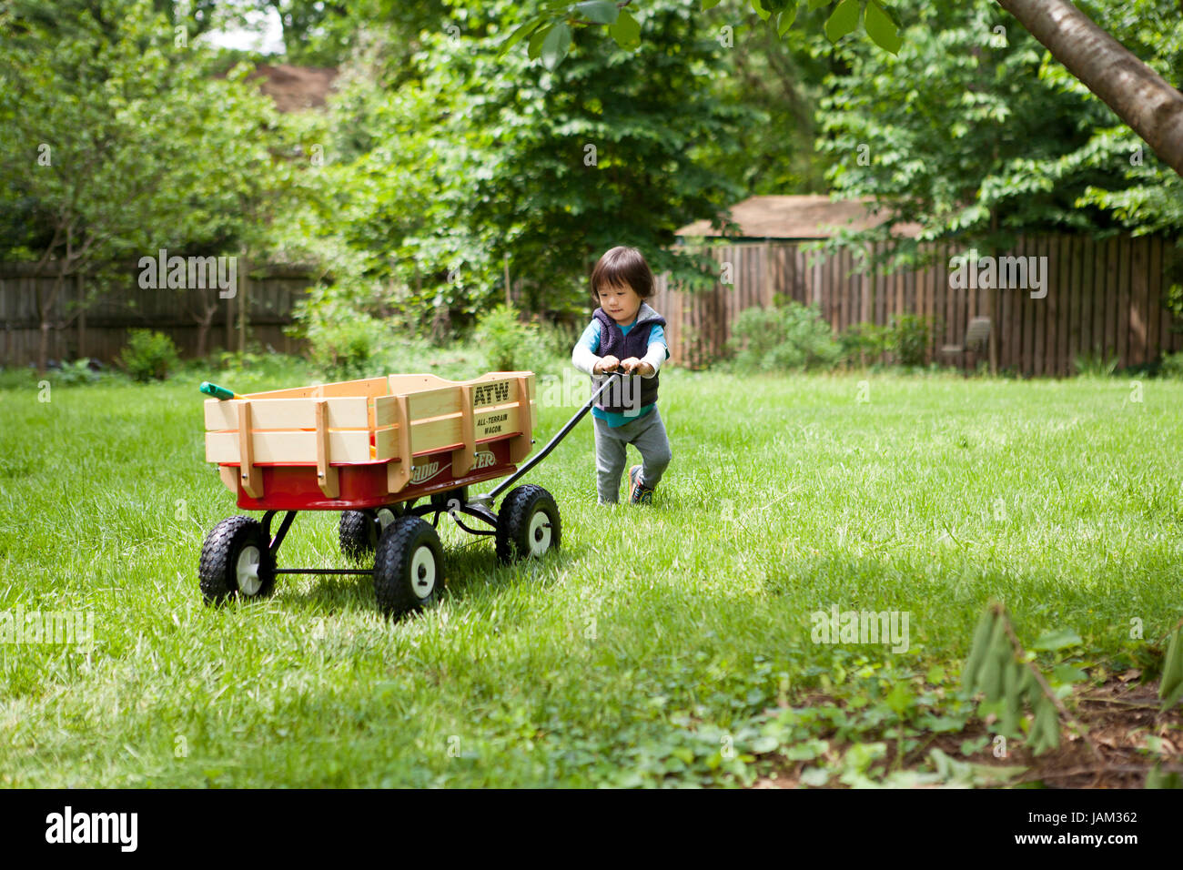 Ragazzo asiatico, età 3, giocando con una Radio Flyer wagon,sul prato - USA Foto Stock