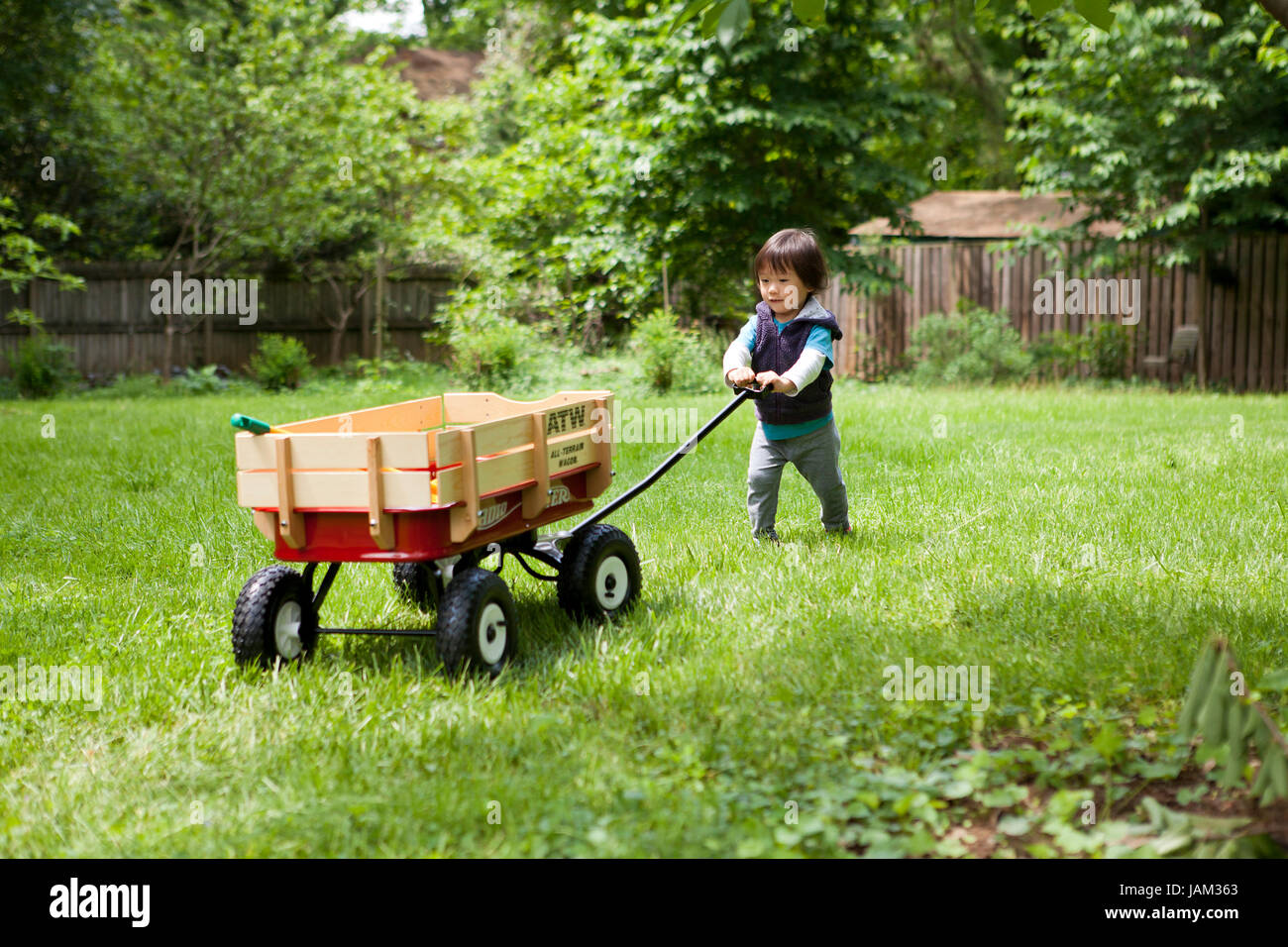 Ragazzo asiatico, età 3, giocando con una Radio Flyer wagon,sul prato - USA Foto Stock