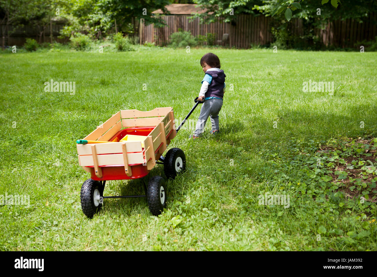 Ragazzo asiatico, età 3, giocando con una Radio Flyer wagon,sul prato - USA Foto Stock