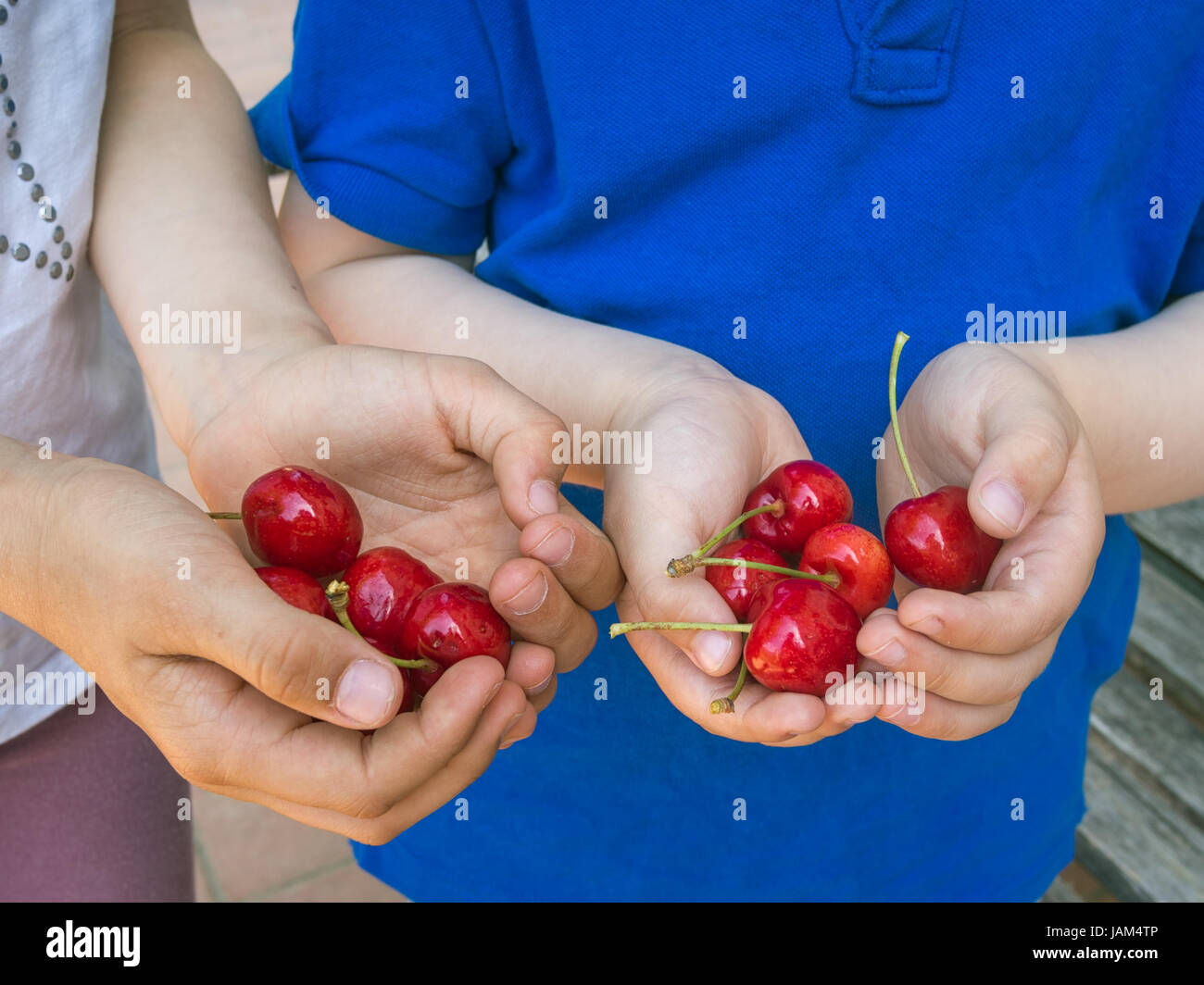 Un sano stile di vita all'aperto e. I bambini sono stati la raccolta di ciliege dolci. Nota profondità di campo ridotta, focus su ciliegie. Foto Stock