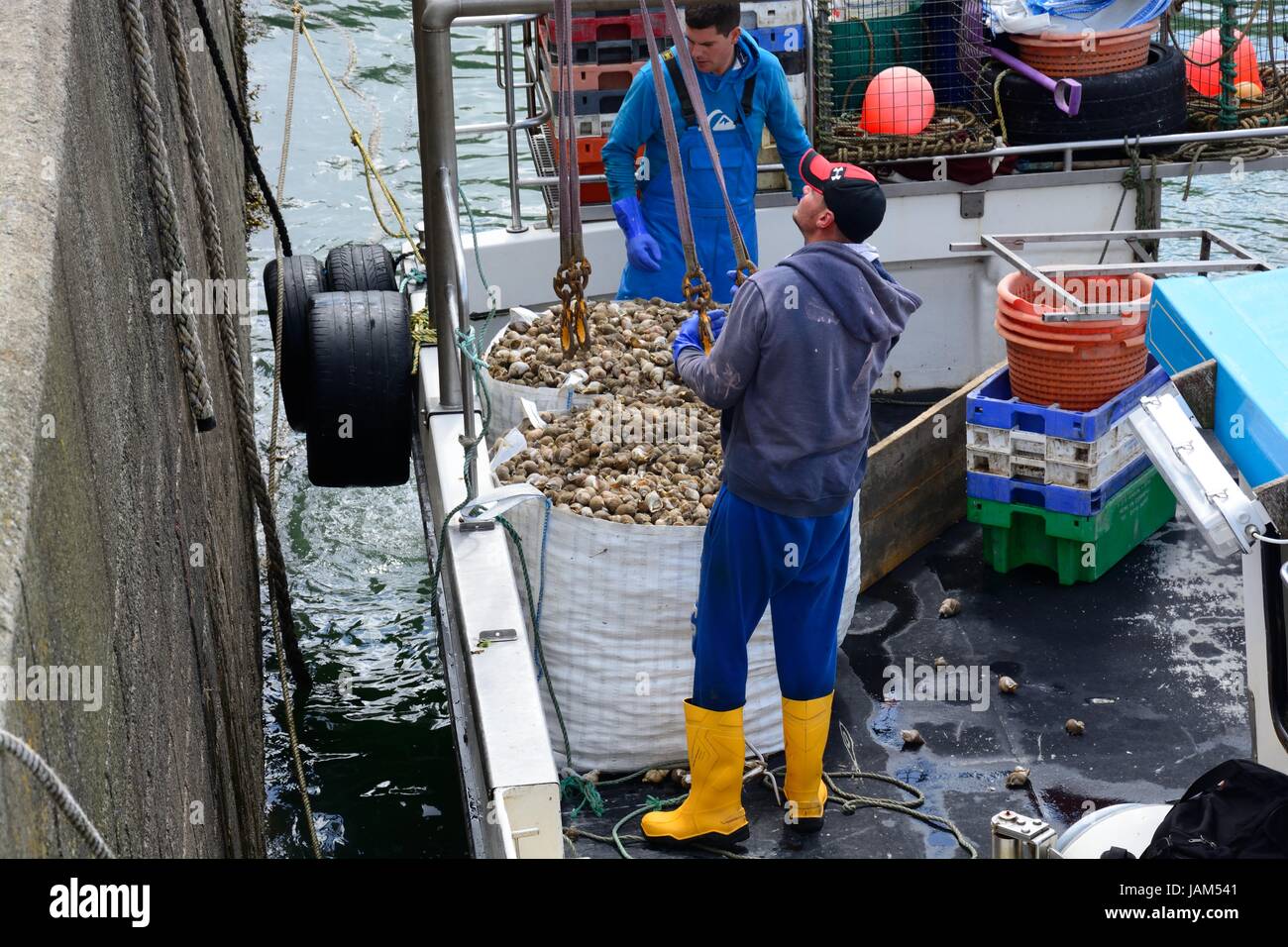 I pescatori il caricamento di una grande borsa di catture di conchiglia da una barca da pesca su th un autocarro Saundersfoot harbour Pembrokeshire Wales Cymru REGNO UNITO GB Foto Stock