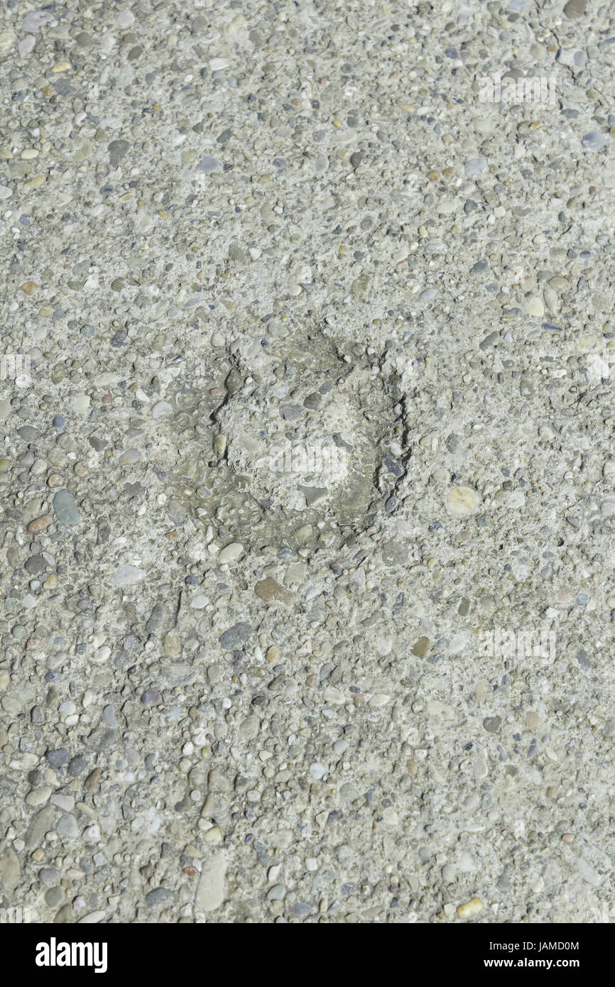 Footprint a ferro di cavallo contrassegnati sul piano terra, simbolo Foto Stock