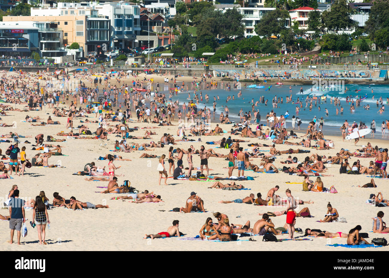 Un affollato Bondi Beach in un giorno d'estate. Sydney, NSW. Australia. Foto Stock