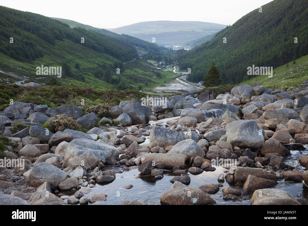 L'Irlanda,County Wicklow,Wicklow Mountains parco nazionale,Wicklow Gap,vista, Foto Stock