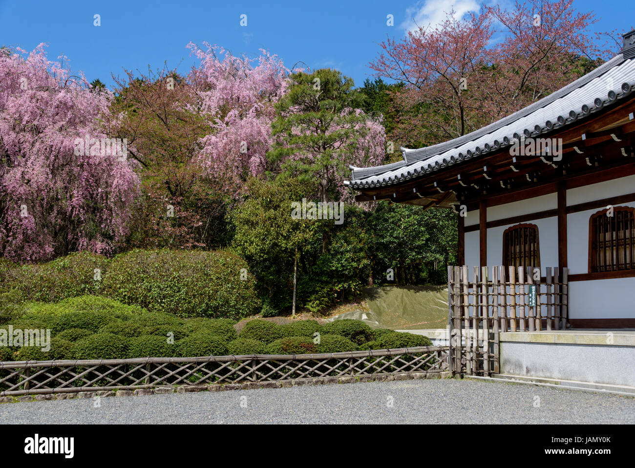 Architettura tradizionale e il giardino di palazzo Kuri nel tempio di Ryoanji Foto Stock