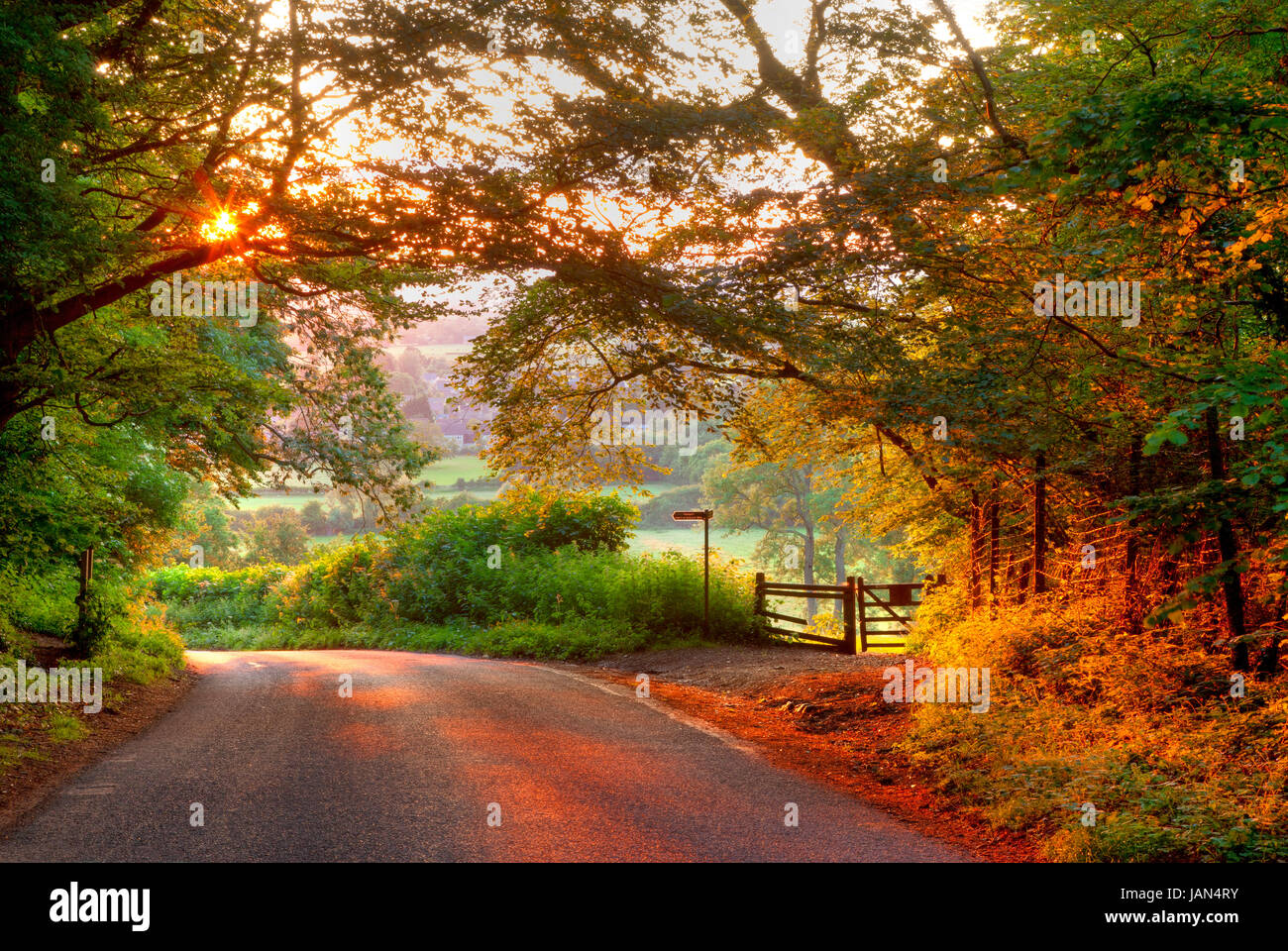 Il sole che tramonta a Baker's Hill vicino al villaggio Costwold di mickleton, Chipping Campden, Gloucestershire, Inghilterra. Foto Stock