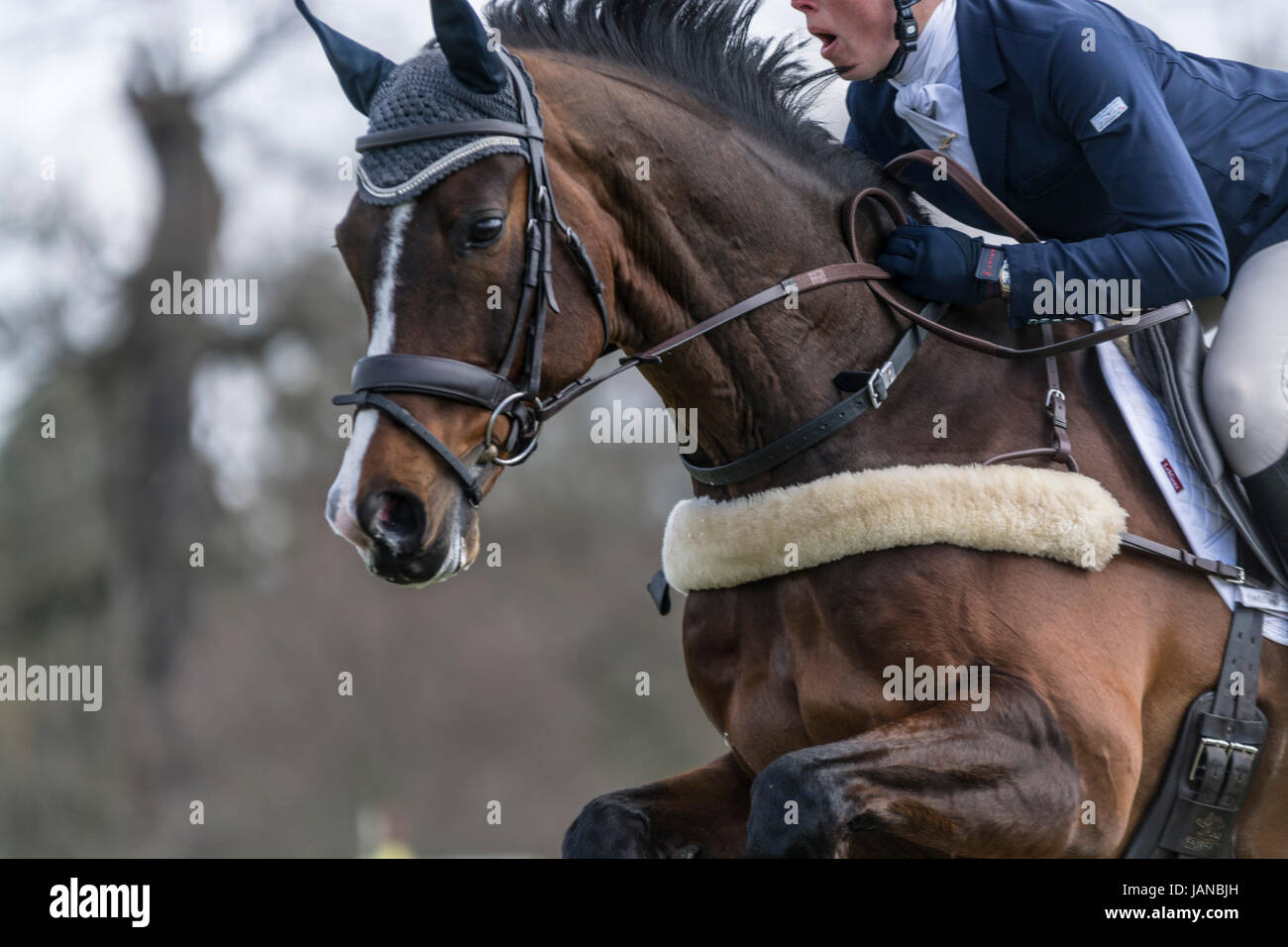 Belton House Horse Trials 2017 Foto Stock