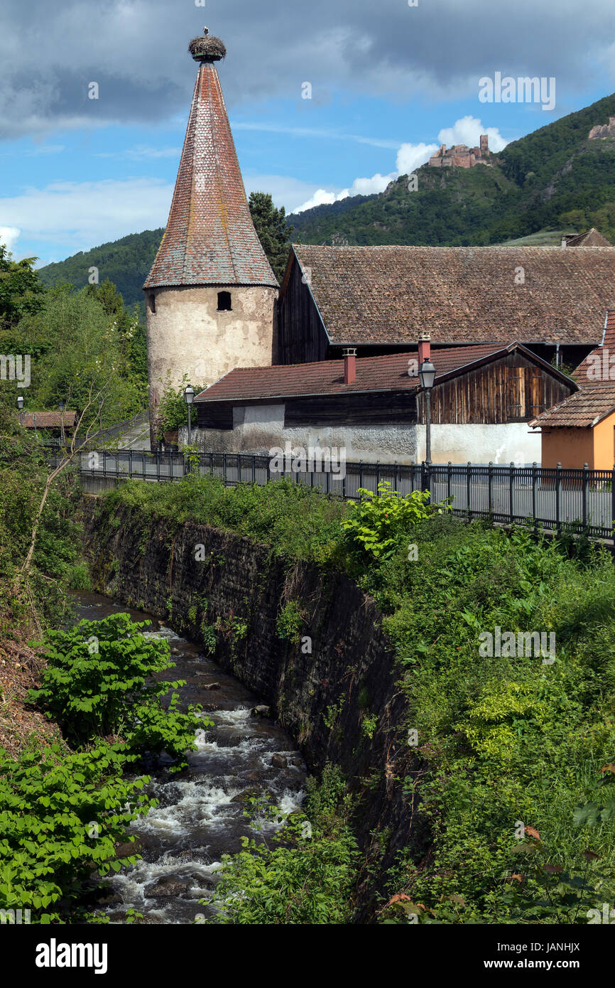 Ribeauville in una piccola cittadina vicino a Colmar nella regione Alsazia del nord-est della Francia. Foto Stock