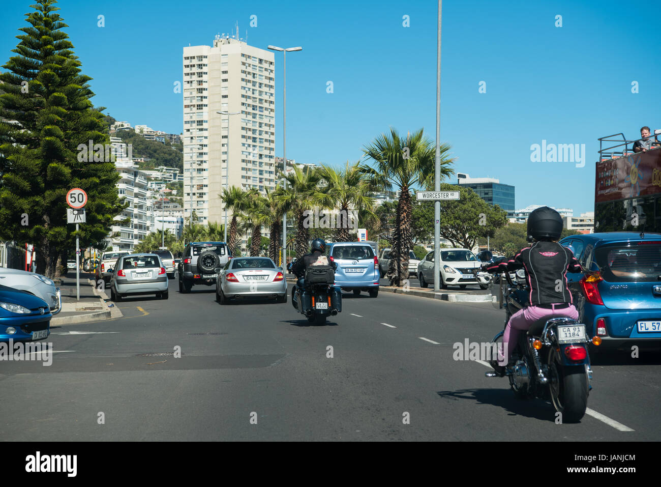 Cane sul retro di una motocicletta in Sea Point Foto Stock