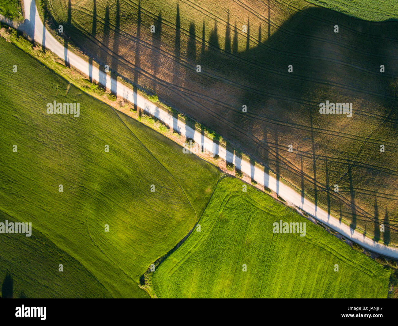 Antenna vista superiore del campo verde. Durante la stagione estiva. Foto Stock