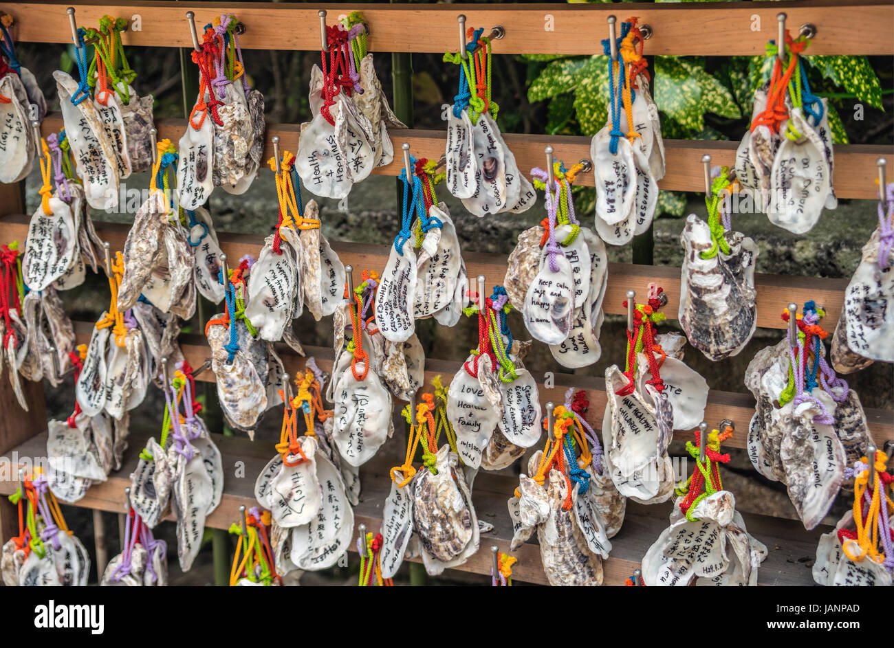 Dettaglio delle conchiglie di Oyster come fascino fortunato al Santuario Kakigara Inari al Giardino del tempio di Hase-dera, Kamakura, Giappone Foto Stock