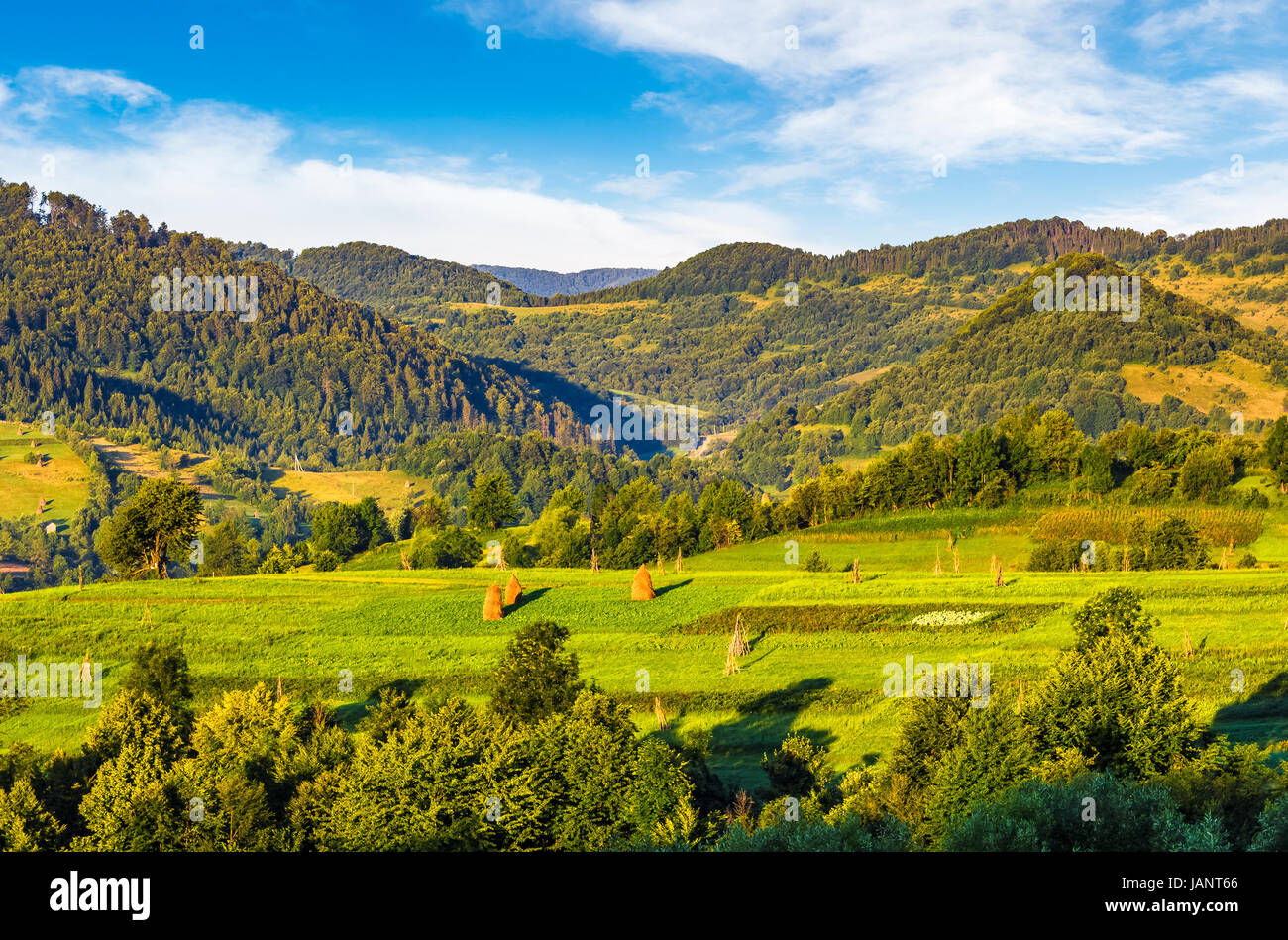 Campi agricoli con haystacks sulle colline nella montuosa zona rurale a sunrise. piacevole paesaggio di campagna Foto Stock