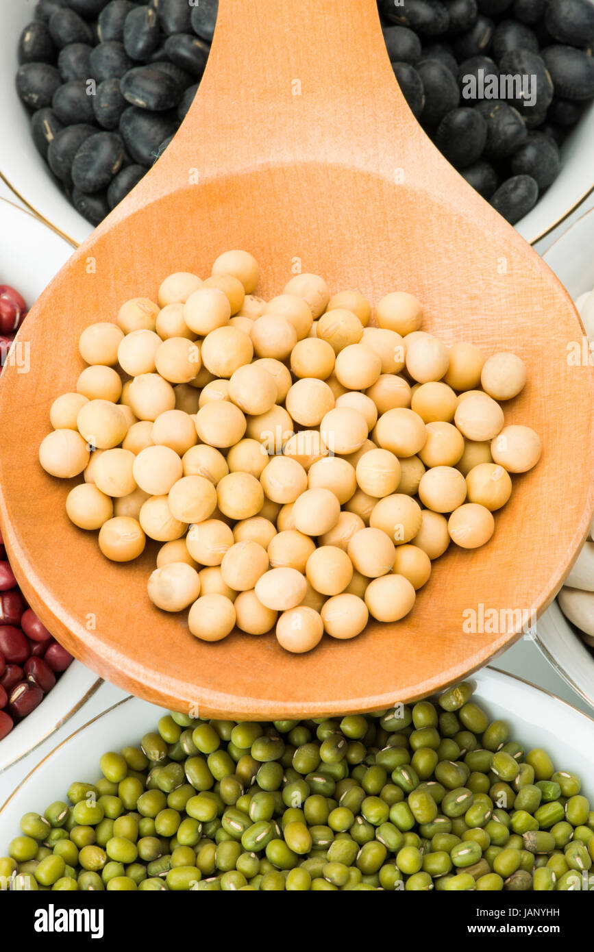 Varietà di Fagioli in ciotole con un cucchiaio di legno su sfondo bianco Foto Stock