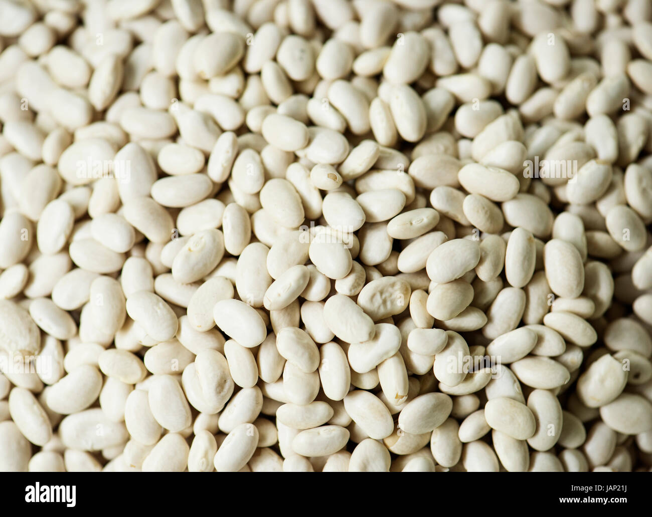 Primo piano di fagioli bianchi freschi di prodotto Foto Stock