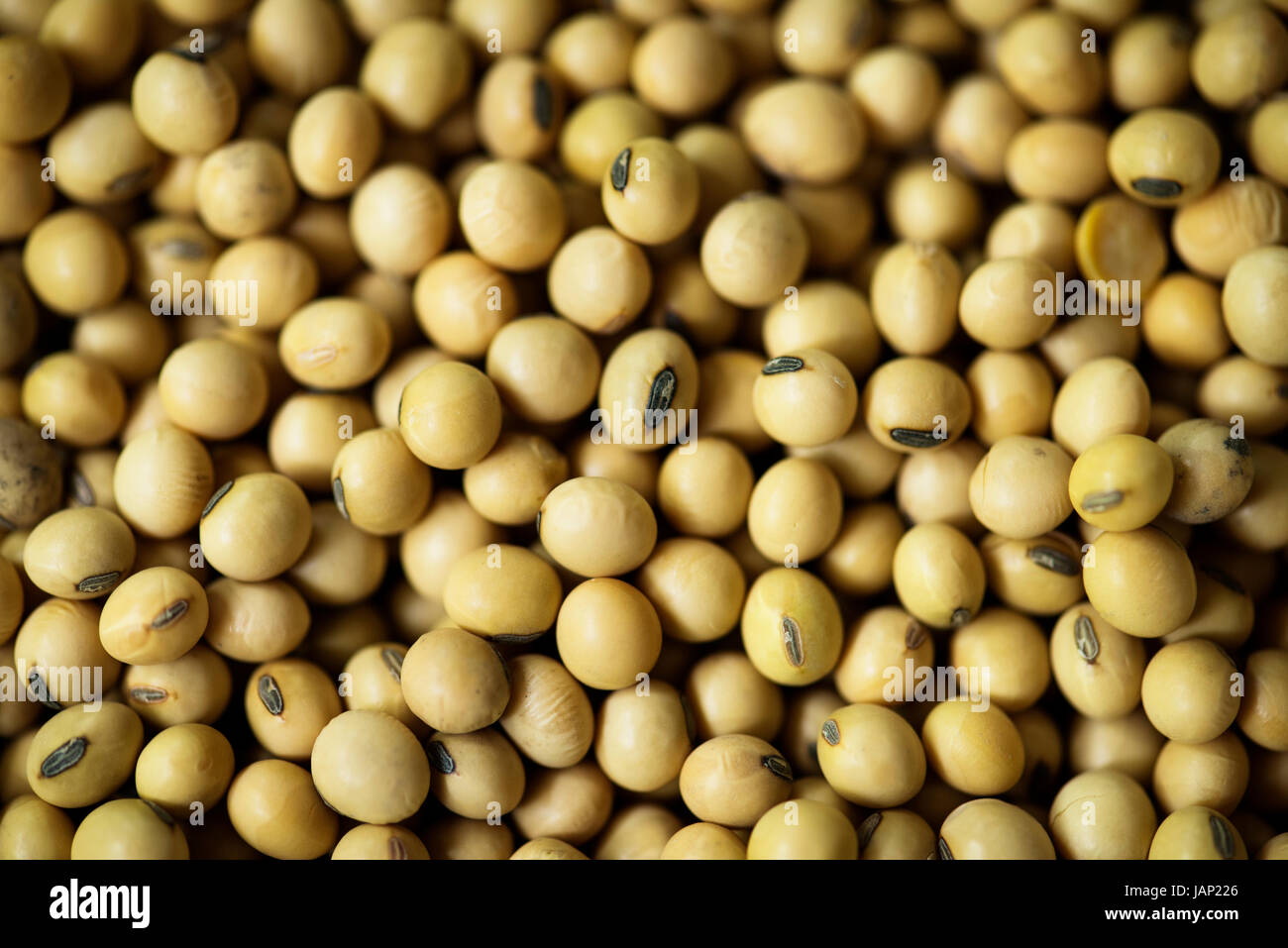 Primo piano della soia semi prodotto Foto Stock