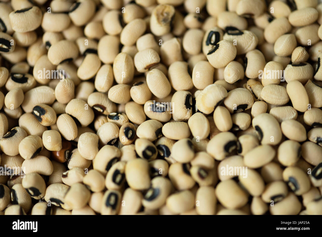 Primo piano della soia semi prodotto Foto Stock