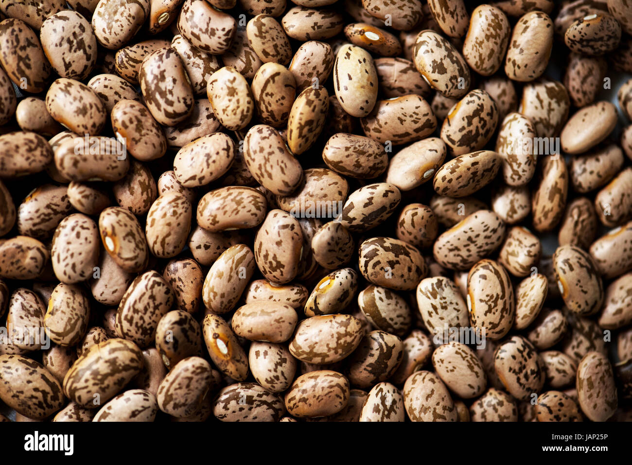 Primo piano della romana prodotto di fagioli freschi Foto Stock