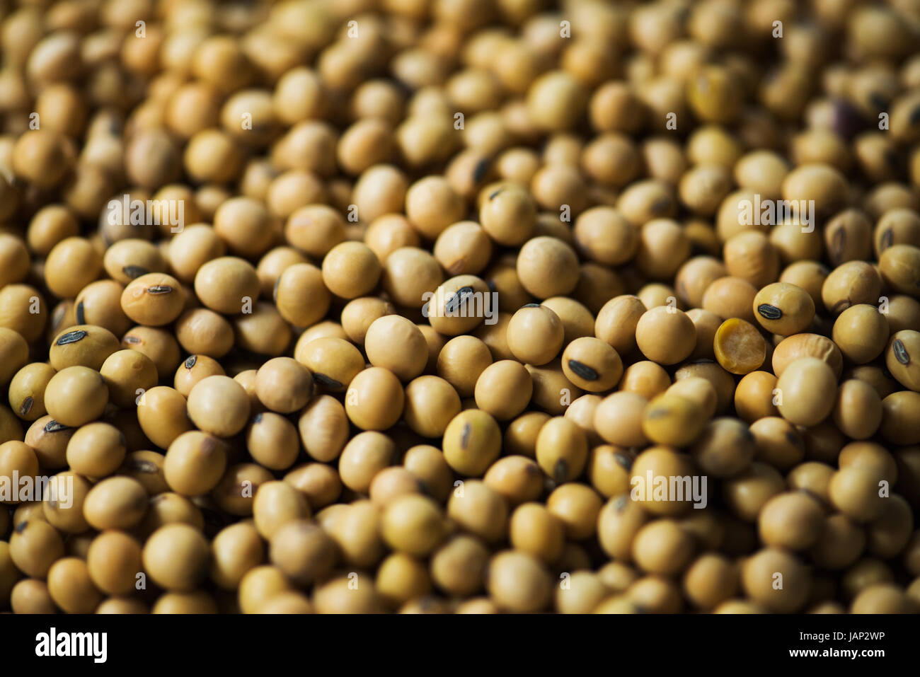 Primo piano della soia semi prodotto Foto Stock