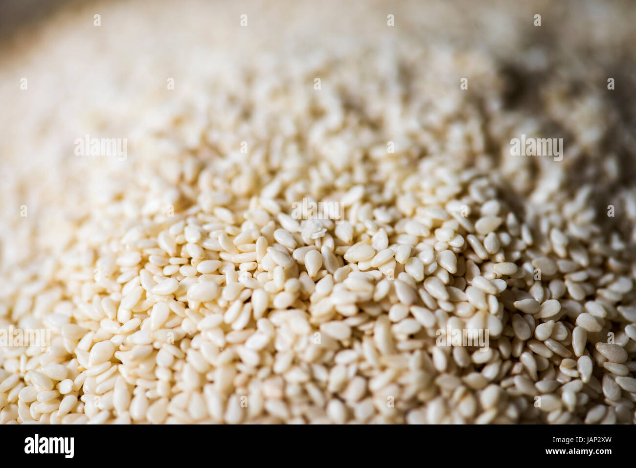 Vista dettagliata del prodotto di sesamo freschi Foto Stock