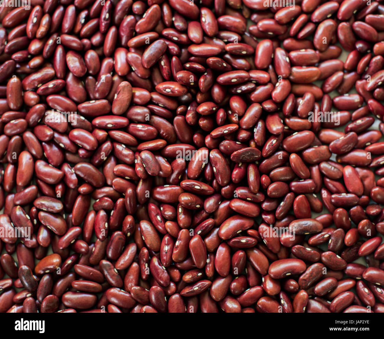 Primo piano della red a fagiolo seeds prodotto Foto Stock