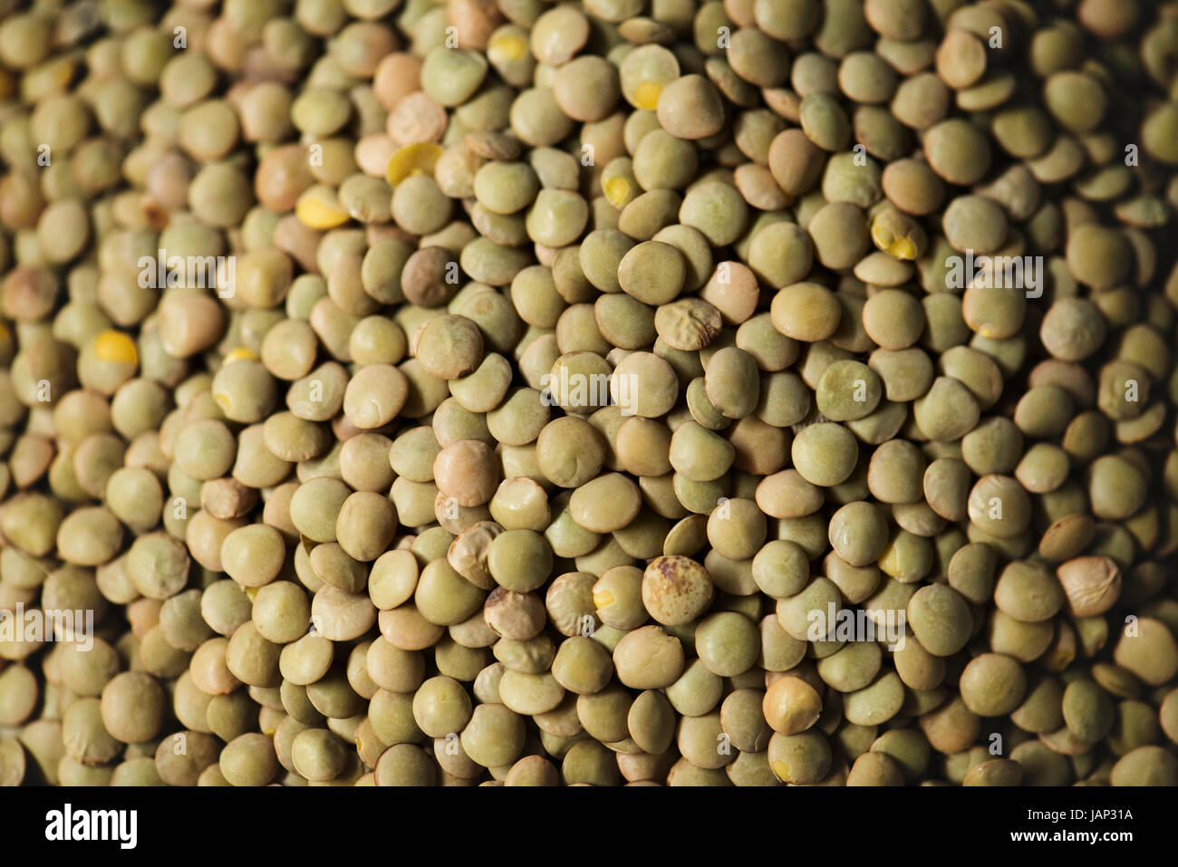 Primo piano di lenticchie seme fresco prodotto Foto Stock
