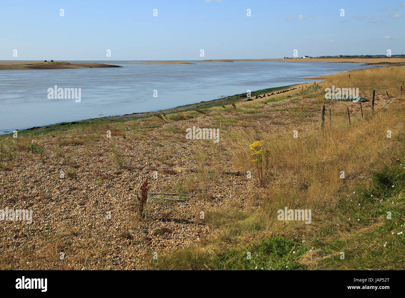 Fiume sale minerale marsh costiero alluvione banca per la difesa e il sentiero, guardando verso la strada di ciottoli, Hollesley, Suffolk, Inghilterra, Regno Unito Foto Stock