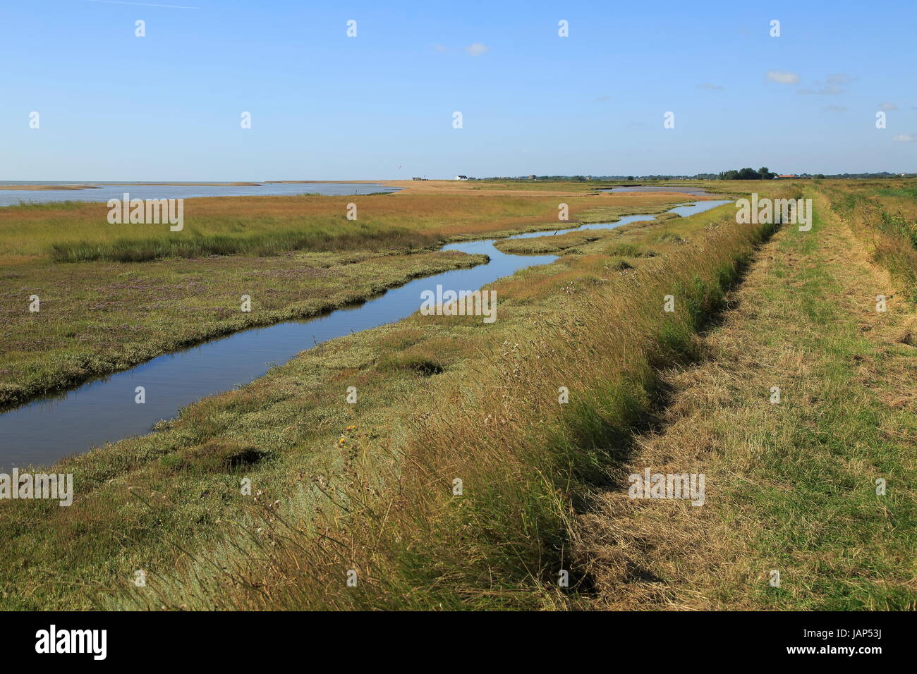 Fiume sale minerale marsh costiero alluvione banca per la difesa e il sentiero, guardando verso la strada di ciottoli, Hollesley, Suffolk, Inghilterra, Regno Unito Foto Stock