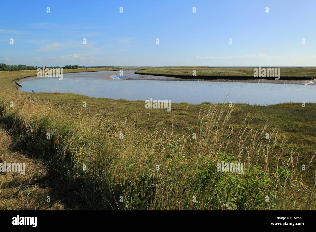Fiume sale minerale marsh il paesaggio costiero, Hollesley, Suffolk, Inghilterra, Regno Unito Foto Stock