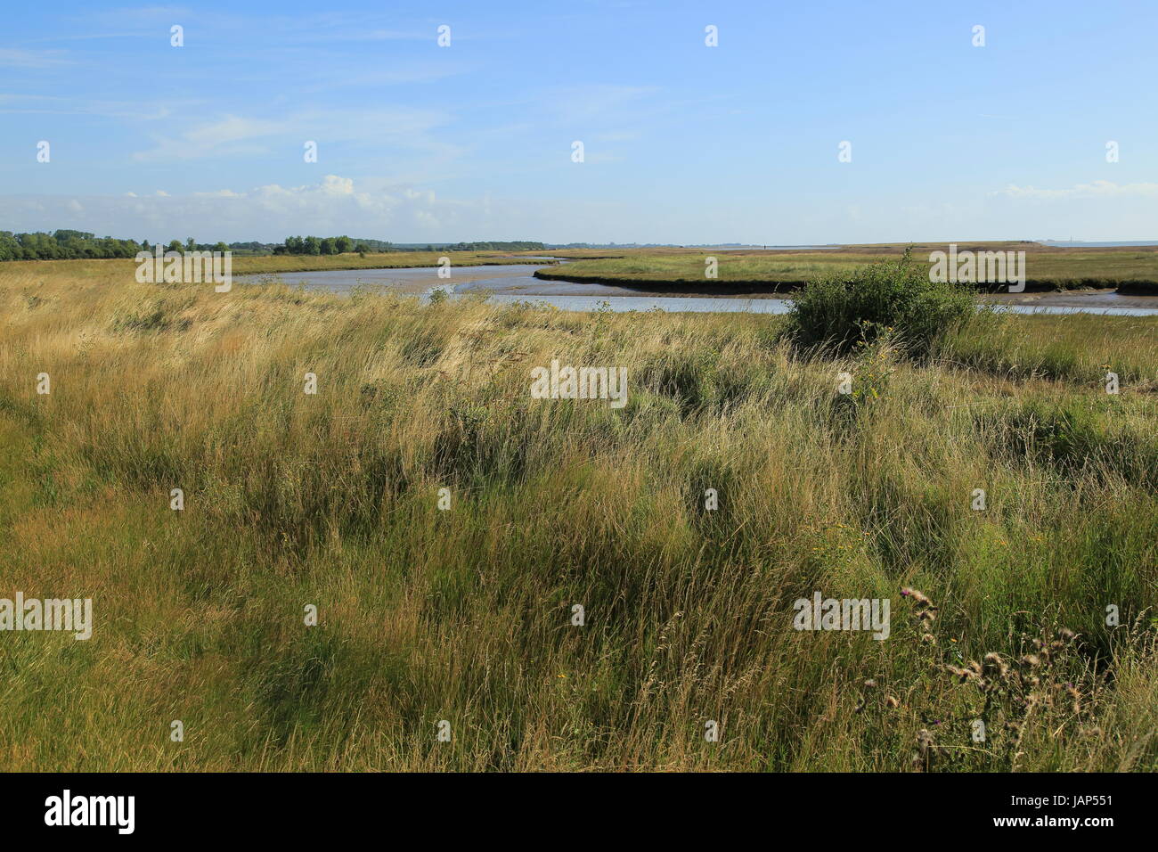 Fiume sale minerale marsh il paesaggio costiero, Hollesley, Suffolk, Inghilterra, Regno Unito Foto Stock