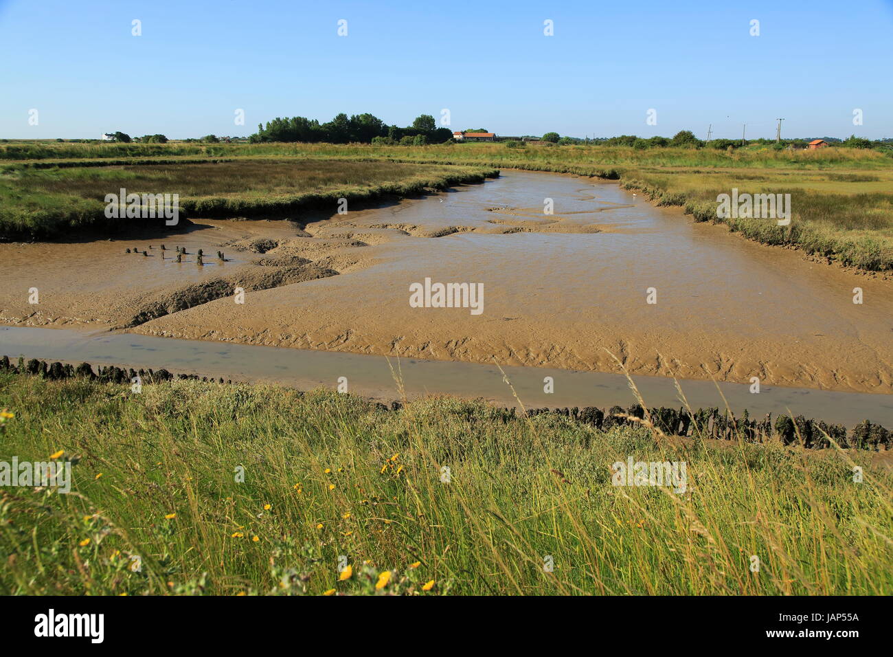Terreni fangosi creek salt marsh fiume minerale, Orford Ness, strada di ciottoli, Hollesley, Suffolk, Inghilterra, Regno Unito Foto Stock