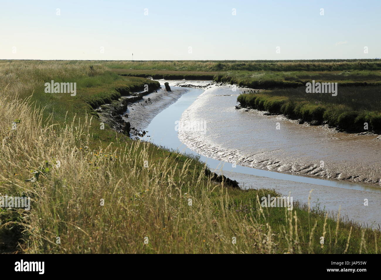 Terreni fangosi creek salt marsh fiume minerale, Orford Ness, strada di ciottoli, Hollesley, Suffolk, Inghilterra, Regno Unito Foto Stock