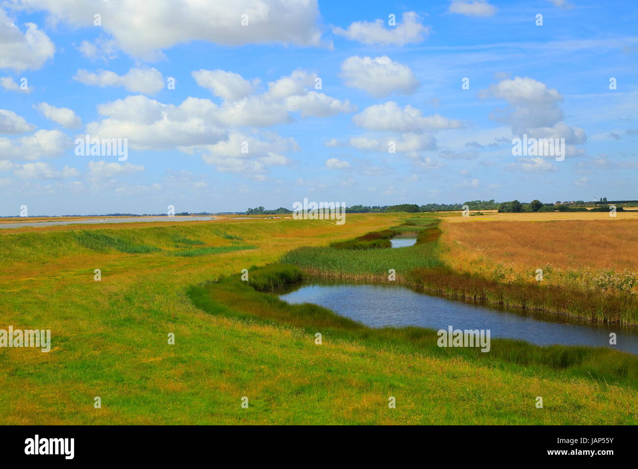 Fiume sale minerale marsh costiero alluvione banca per la difesa e il sentiero, Boyton, Suffolk, Inghilterra, Regno Unito Foto Stock