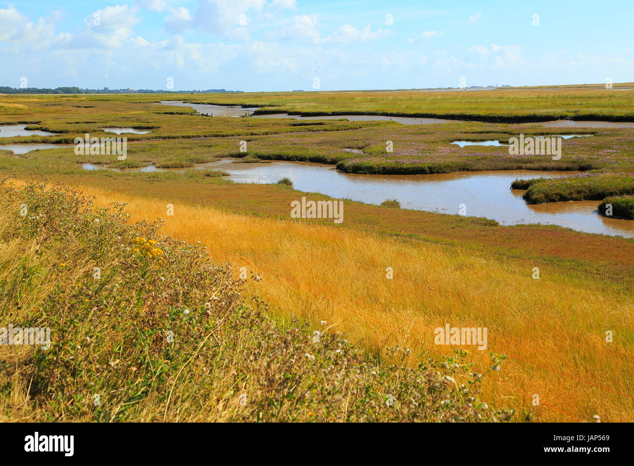 Fiume sale minerale di palude e di Orford Ness allo spiedo, guardando verso nord in direzione di Orford, Boyton, Suffolk, Inghilterra, Regno Unito Foto Stock