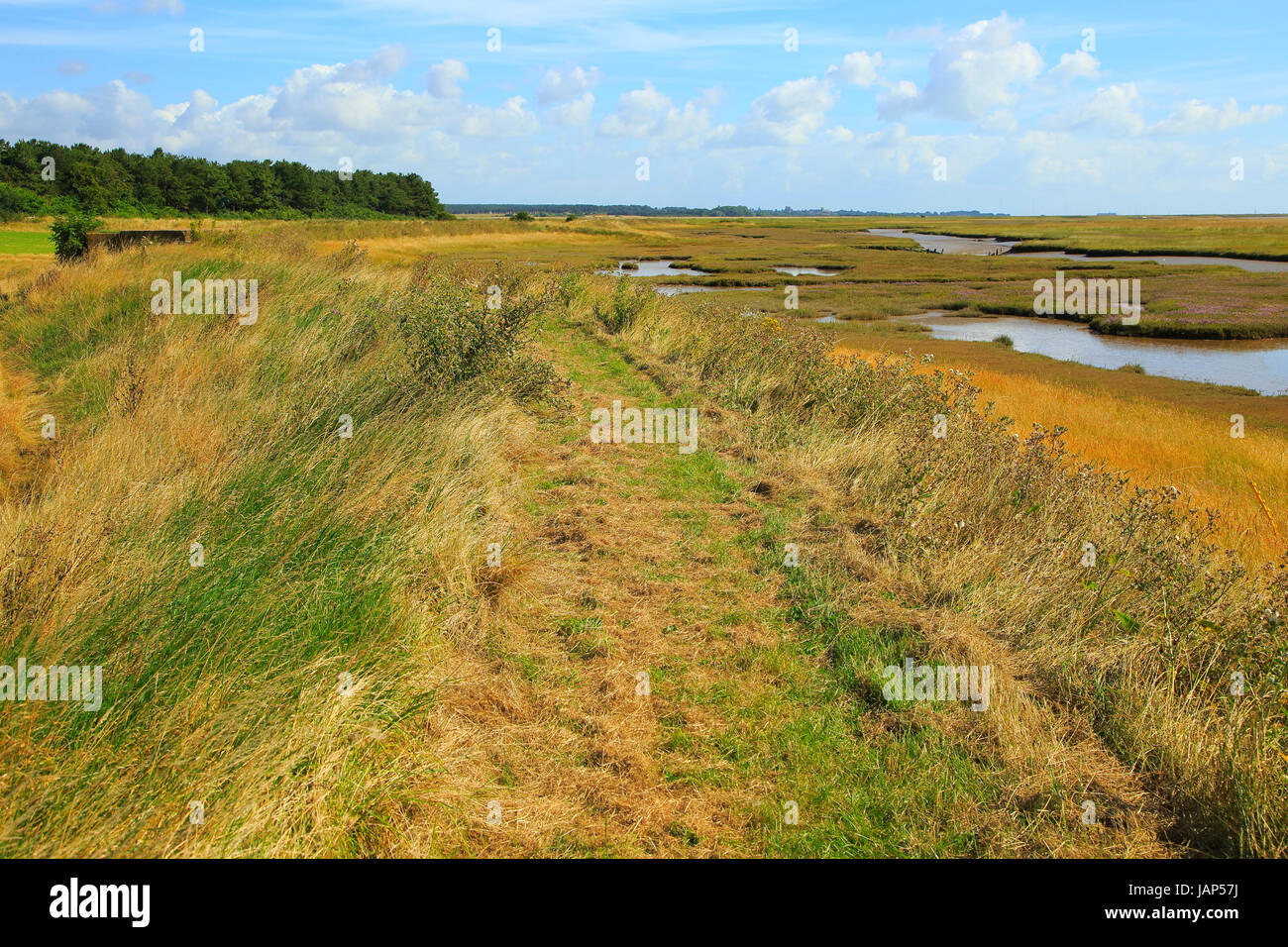 Fiume sale minerale di palude e di Orford Ness allo spiedo, guardando verso nord in direzione di Orford, Boyton, Suffolk, Inghilterra, Regno Unito Foto Stock