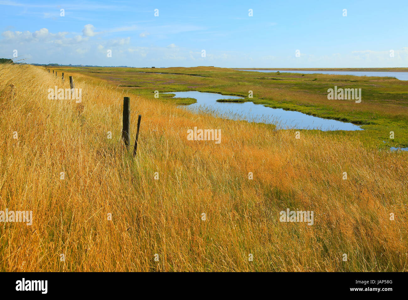 Fiume sale minerale di palude e di Orford Ness allo spiedo, Simpsons Saltings, Hollesley, Suffolk, Inghilterra, Regno Unito Foto Stock