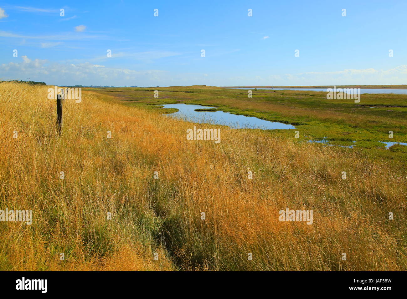 Fiume sale minerale di palude e di Orford Ness allo spiedo, Simpsons Saltings, Hollesley, Suffolk, Inghilterra, Regno Unito Foto Stock