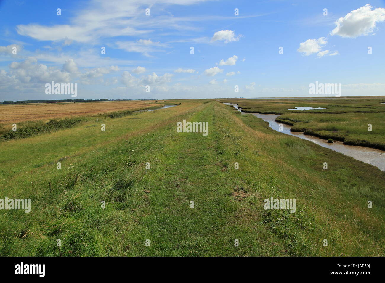 Fiume sale minerale marsh il paesaggio costiero, Hollesley, Suffolk, Inghilterra, Regno Unito Foto Stock
